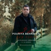 دانلود آهنگ جدید پوریا بهروان وای عشق